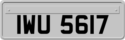 IWU5617