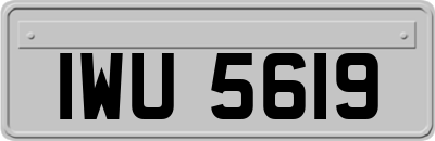 IWU5619
