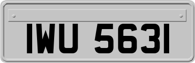 IWU5631