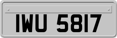 IWU5817