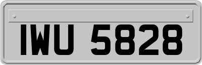 IWU5828
