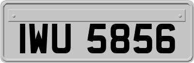 IWU5856
