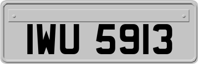 IWU5913