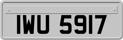 IWU5917