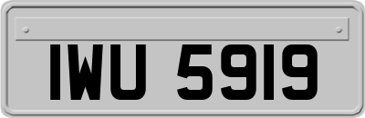 IWU5919