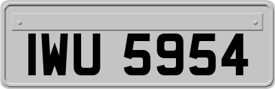 IWU5954