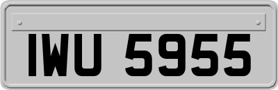 IWU5955