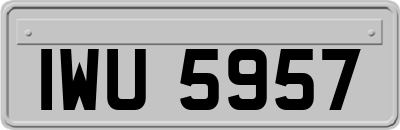 IWU5957