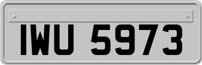 IWU5973