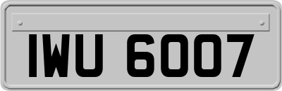IWU6007