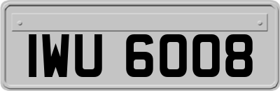 IWU6008