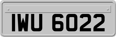 IWU6022