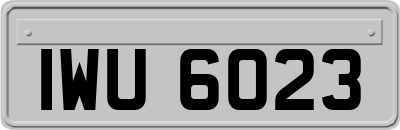IWU6023