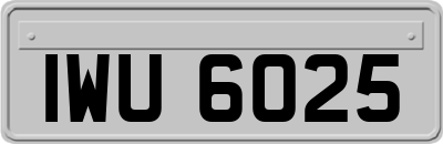 IWU6025