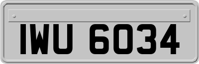 IWU6034