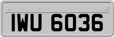 IWU6036