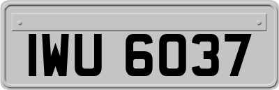 IWU6037