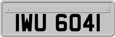 IWU6041