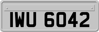 IWU6042