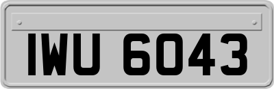IWU6043