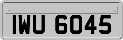 IWU6045