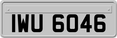 IWU6046