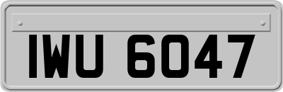 IWU6047