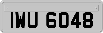 IWU6048