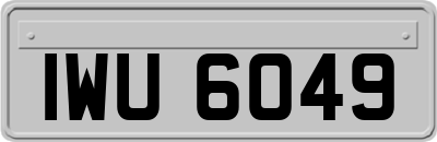 IWU6049