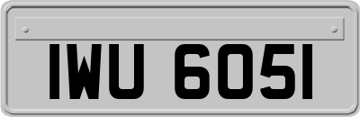 IWU6051