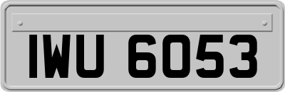 IWU6053