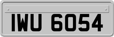 IWU6054