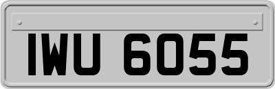 IWU6055