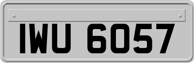 IWU6057