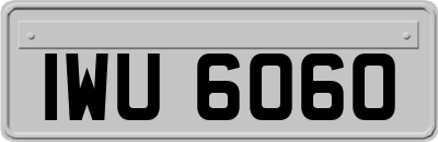 IWU6060