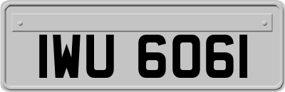 IWU6061