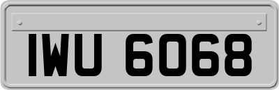 IWU6068