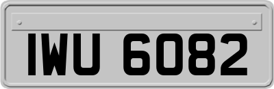 IWU6082