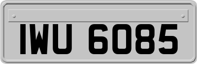 IWU6085