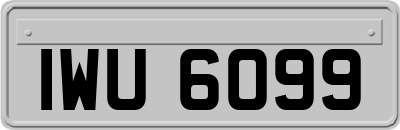 IWU6099