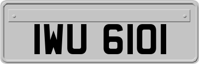 IWU6101