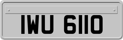 IWU6110