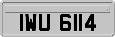 IWU6114