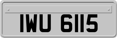 IWU6115