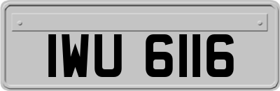 IWU6116