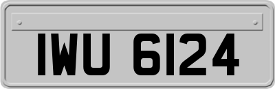 IWU6124