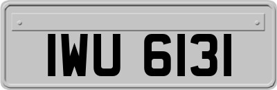 IWU6131