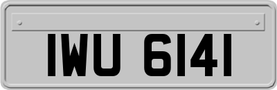 IWU6141