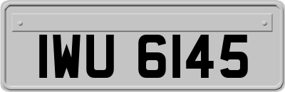 IWU6145