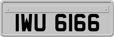 IWU6166